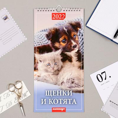 16 Новый Сезон 2022 Год 16 Новый Сезон 2022 Год